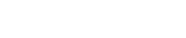 Bridge Power Partners